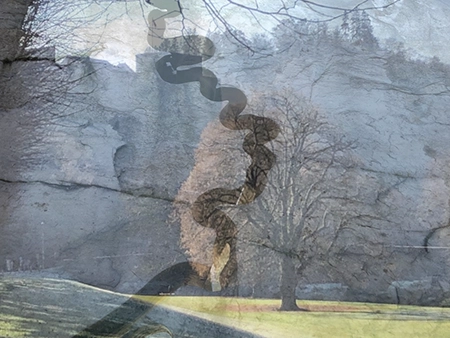 Landscape picture